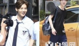 台湾爆料鹿晗视频播放,真相与争议并存